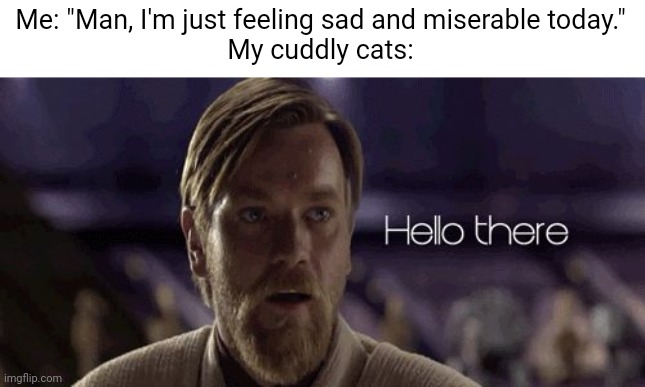 Cats can apparently smell when you are sad and may show up to help you feel better! | Me: "Man, I'm just feeling sad and miserable today."
My cuddly cats: | image tagged in obi wan hello there | made w/ Imgflip meme maker