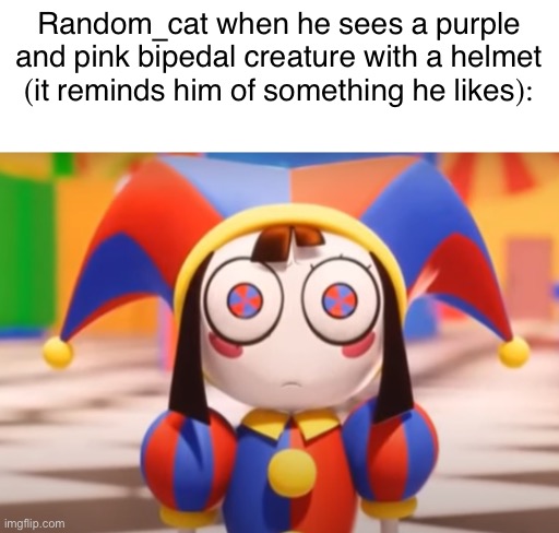 Had to do it | Random_cat when he sees a purple and pink bipedal creature with a helmet (it reminds him of something he likes): | image tagged in pomni death stare | made w/ Imgflip meme maker