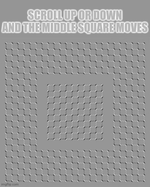 Eye test | SCROLL UP OR DOWN AND THE MIDDLE SQUARE MOVES | image tagged in optical illusion,moving,images,eyes,messed up,weird stuff | made w/ Imgflip meme maker
