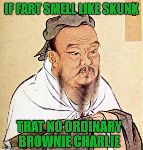 I was not expecting that effect | IF FART SMELL LIKE SKUNK; THAT NO ORDINARY BROWNIE CHARLIE | image tagged in confucius says,skunk,farts,pot,brownies,side effects | made w/ Imgflip meme maker