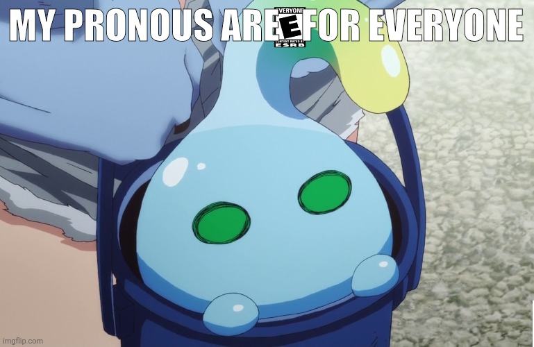 Yes E is an actual pronoun | MY PRONOUS ARE   FOR EVERYONE | image tagged in i has a bucket | made w/ Imgflip meme maker