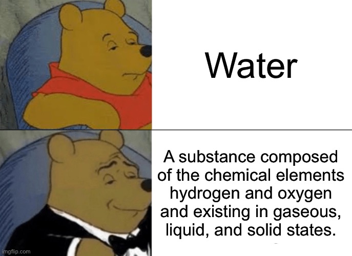 Water | Water; A substance composed of the chemical elements hydrogen and oxygen and existing in gaseous, liquid, and solid states. | image tagged in memes,tuxedo winnie the pooh | made w/ Imgflip meme maker