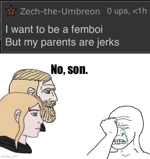 No, son. | image tagged in chad male and female | made w/ Imgflip meme maker