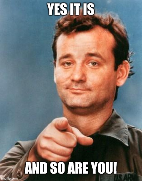 Bill Murray You're Awesome | YES IT IS AND SO ARE YOU! | image tagged in bill murray you're awesome | made w/ Imgflip meme maker