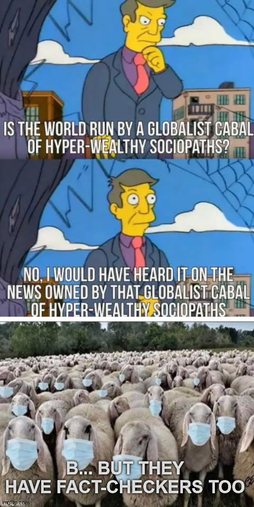 These people are too stupid to think for themselves... | B... BUT THEY HAVE FACT-CHECKERS TOO | image tagged in sign of the sheeple,stupid people,blind,followers | made w/ Imgflip meme maker