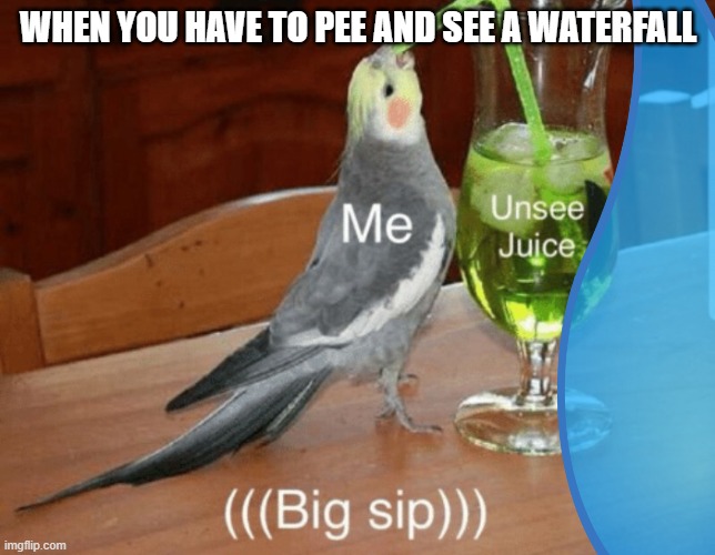 this happens to me all the time | WHEN YOU HAVE TO PEE AND SEE A WATERFALL | image tagged in unsee juice | made w/ Imgflip meme maker