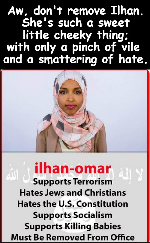 a pinch and a smattering | Aw, don't remove Ilhan.
She's such a sweet little cheeky thing;
with only a pinch of vile 
and a smattering of hate. | image tagged in memes,politics | made w/ Imgflip meme maker