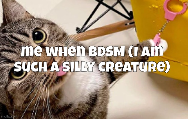 me when BDSM (I am such a silly creature) | made w/ Imgflip meme maker