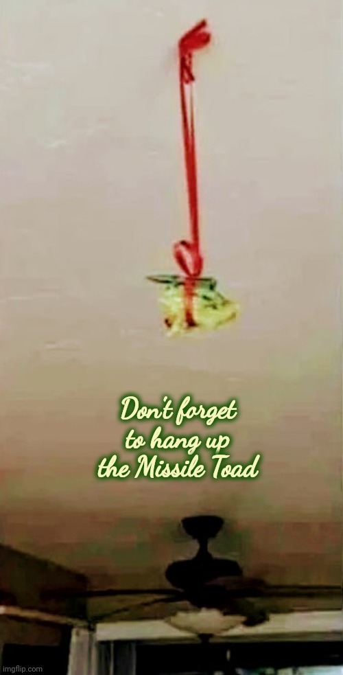 A Holiday Tradition | Don't forget to hang up the Missile Toad | image tagged in now kiss,mistletoe,understanding,grumpy toad,not amused,help i accidentally | made w/ Imgflip meme maker