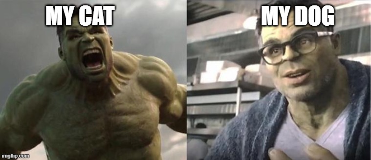 My Dog Vs My Cat | MY CAT                                  MY DOG | image tagged in angry hulk vs civil hulk | made w/ Imgflip meme maker