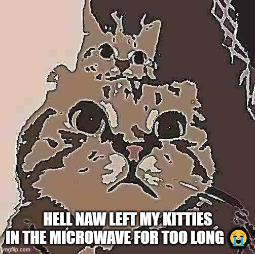 Kitty left in the microwave for too long | HELL NAW LEFT MY KITTIES IN THE MICROWAVE FOR TOO LONG 😭 | image tagged in two cats | made w/ Imgflip meme maker