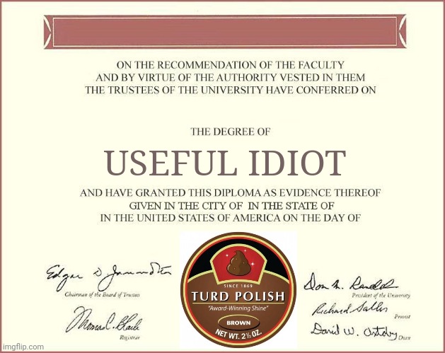 diploma | USEFUL IDIOT | image tagged in diploma | made w/ Imgflip meme maker