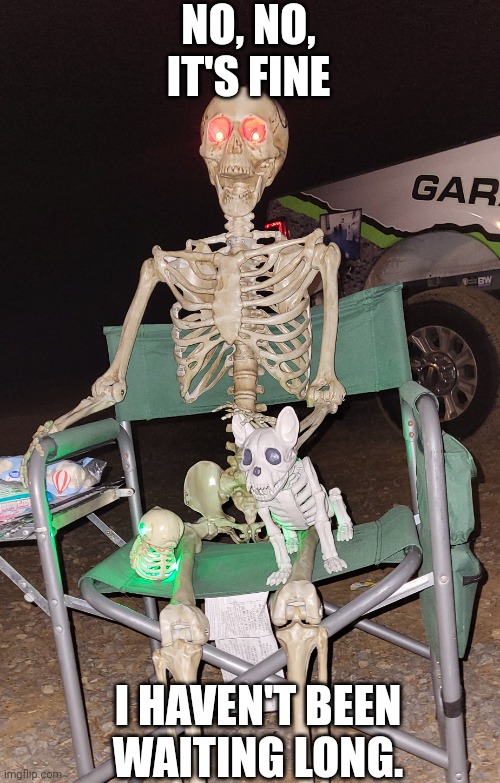 Waiting | NO, NO, IT'S FINE; I HAVEN'T BEEN WAITING LONG. | image tagged in waiting skeleton,waiting | made w/ Imgflip meme maker