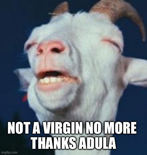 Oops! | NOT A VIRGIN NO MORE 
THANKS ADULA | image tagged in goat,memes | made w/ Imgflip meme maker