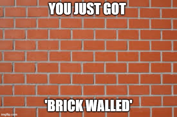 brick wall | YOU JUST GOT; 'BRICK WALLED' | image tagged in brick wall | made w/ Imgflip meme maker