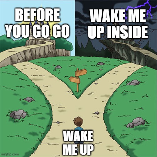 Two Paths | BEFORE YOU GO GO; WAKE ME UP INSIDE; WAKE ME UP | image tagged in two paths | made w/ Imgflip meme maker