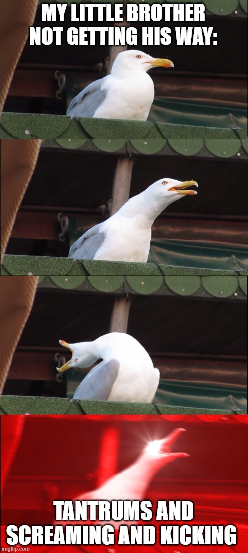 Most of the time | MY LITTLE BROTHER NOT GETTING HIS WAY:; TANTRUMS AND SCREAMING AND KICKING | image tagged in memes,inhaling seagull | made w/ Imgflip meme maker