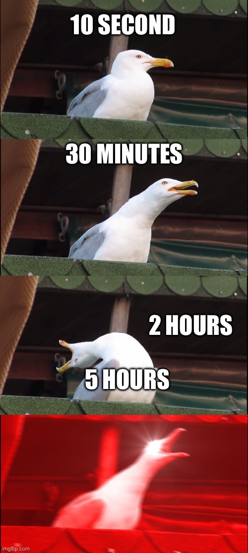 When I wait | 10 SECOND; 30 MINUTES; 2 HOURS; 5 HOURS | image tagged in memes,inhaling seagull | made w/ Imgflip meme maker