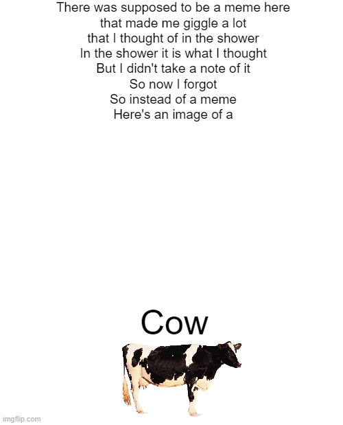 moo | There was supposed to be a meme here
that made me giggle a lot
that I thought of in the shower
In the shower it is what I thought
But I didn't take a note of it
So now I forgot
So instead of a meme
Here's an image of a; Cow | image tagged in cow,clever,unexpected results,shower thoughts,meme | made w/ Imgflip meme maker