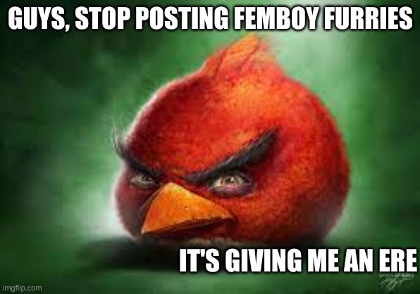 Realistic Red Angry Birds | GUYS, STOP POSTING FEMBOY FURRIES; IT'S GIVING ME AN ERE | image tagged in realistic red angry birds | made w/ Imgflip meme maker