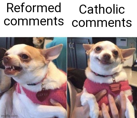 Catholics & Orthodox vs Reformed | Reformed comments; Catholic comments | image tagged in angry chihuahua happy chihuahua | made w/ Imgflip meme maker