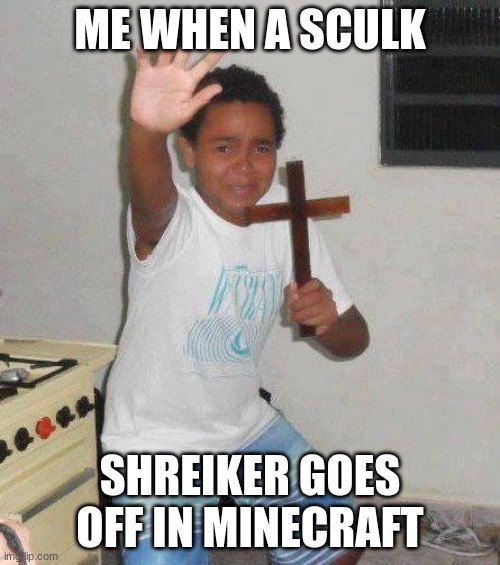 Uh Oh, Sculk Shreikers! | ME WHEN A SCULK; SHREIKER GOES OFF IN MINECRAFT | image tagged in kid with cross | made w/ Imgflip meme maker