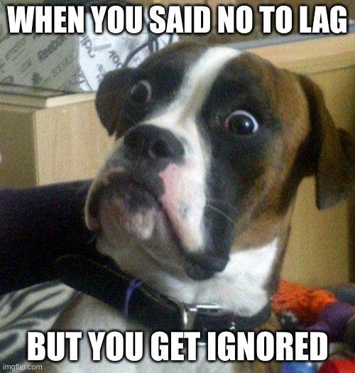 Say "NO" to lag! | WHEN YOU SAID NO TO LAG; BUT YOU GET IGNORED | image tagged in scared dog | made w/ Imgflip meme maker
