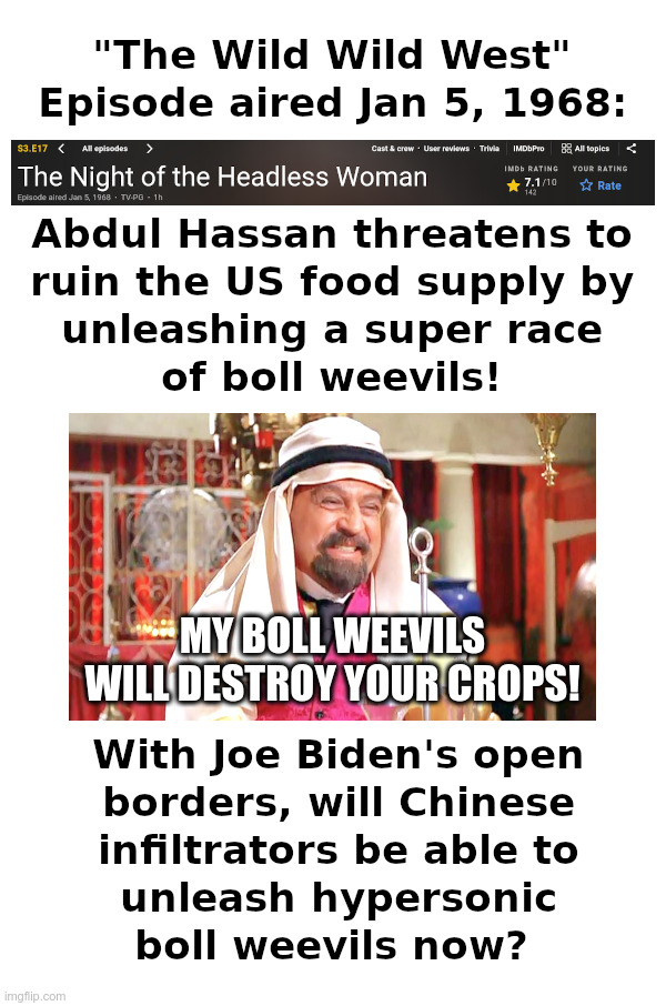 The Wild Wild West: Could This Happen Now? | image tagged in the wild wild west,boll weevil,terror,plot,chinese,hypersonic | made w/ Imgflip meme maker