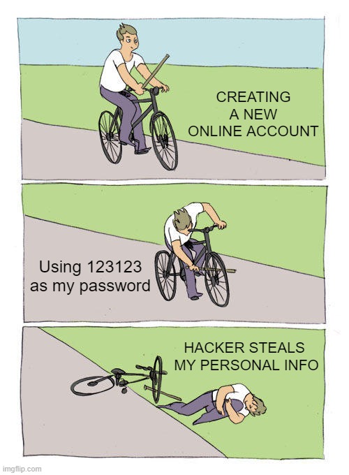 Reusing Password Fail | CREATING A NEW ONLINE ACCOUNT; Using 123123 as my password; HACKER STEALS 
MY PERSONAL INFO | image tagged in memes,bike fall,password,fail,privacy | made w/ Imgflip meme maker
