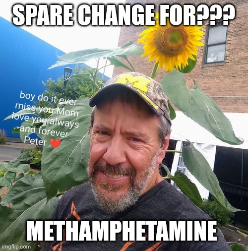 Spare Change For?? | SPARE CHANGE FOR??? METHAMPHETAMINE | image tagged in peter plant,meth,funny memes,drugs,money | made w/ Imgflip meme maker