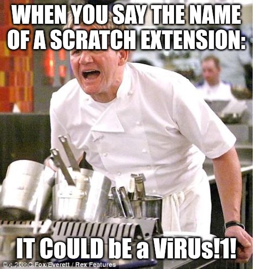 This is true. | WHEN YOU SAY THE NAME OF A SCRATCH EXTENSION:; IT CoULD bE a ViRUs!1! | image tagged in memes,chef gordon ramsay,scratch | made w/ Imgflip meme maker