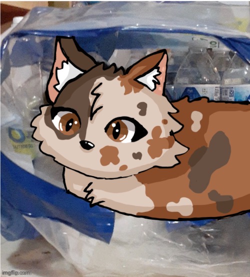 Water bottle cat for @Sylvia. | image tagged in cat,art,water,why are you reading this | made w/ Imgflip meme maker