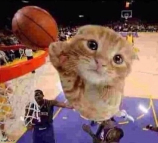 pretend this image breaks every rule in the stream | image tagged in ballin cat | made w/ Imgflip meme maker