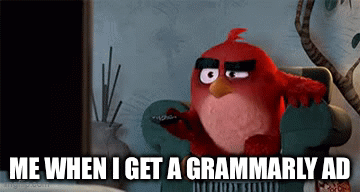 So annoying | ME WHEN I GET A GRAMMARLY AD | image tagged in gifs,grammar nazi | made w/ Imgflip video-to-gif maker