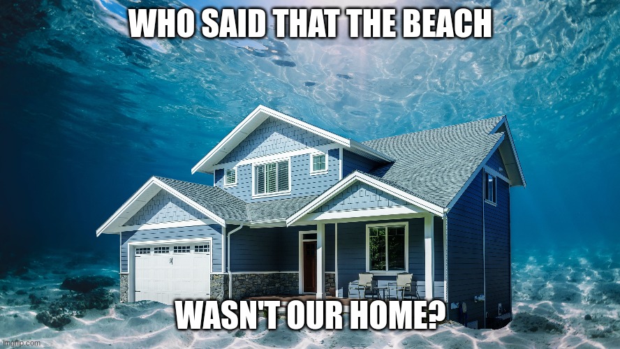 i jealous | WHO SAID THAT THE BEACH; WASN'T OUR HOME? | image tagged in beach,underwater | made w/ Imgflip meme maker