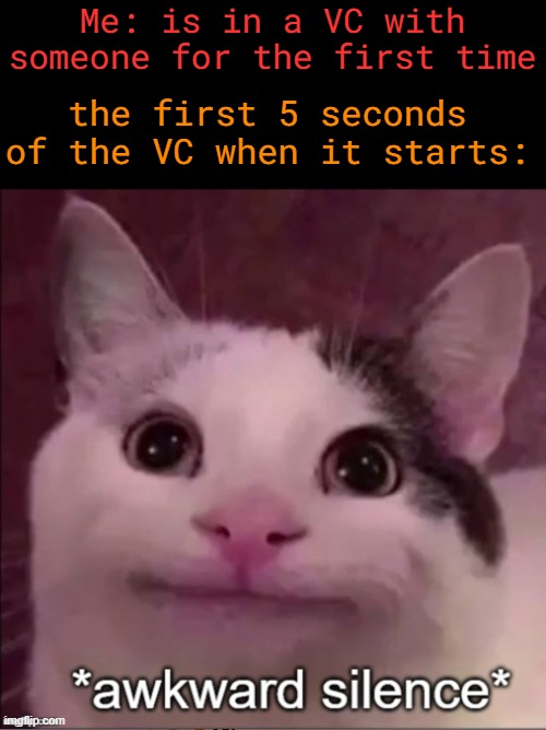 ik that cat meme is dead but Lets be fr, its like meeting someone irl. but eventually you get used to it | Me: is in a VC with someone for the first time; the first 5 seconds of the VC when it starts: | image tagged in awkward silence cat,fun,funny,memes,discord,cats | made w/ Imgflip meme maker