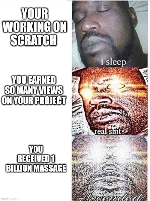 Do this | YOUR WORKING ON SCRATCH; YOU EARNED SO MANY VIEWS ON YOUR PROJECT; YOU RECEIVED 1 BILLION MASSAGE | image tagged in i sleep meme with ascended template,scratch | made w/ Imgflip meme maker