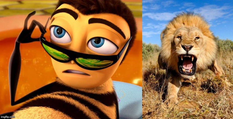 image tagged in bee movie,lion | made w/ Imgflip meme maker