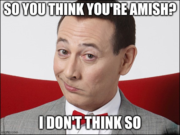 Skeptical Pee Wee Herman | SO YOU THINK YOU'RE AMISH? I DON'T THINK SO | image tagged in skeptical pee wee herman | made w/ Imgflip meme maker