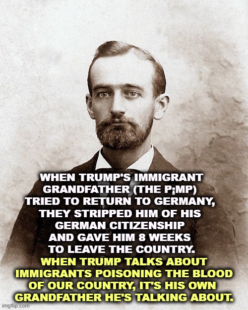Trump, the Immigrant | WHEN TRUMP'S IMMIGRANT 
GRANDFATHER (THE P¡MP) 
TRIED TO RETURN TO GERMANY, 
THEY STRIPPED HIM OF HIS 
GERMAN CITIZENSHIP 
AND GAVE HIM 8 WEEKS 
TO LEAVE THE COUNTRY. WHEN TRUMP TALKS ABOUT IMMIGRANTS POISONING THE BLOOD OF OUR COUNTRY, IT'S HIS OWN 
GRANDFATHER HE'S TALKING ABOUT. | image tagged in trump,grandfather,immigrant,poison,blood | made w/ Imgflip meme maker