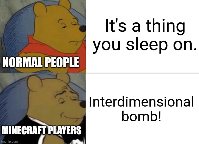 Two types of people | It's a thing you sleep on. NORMAL PEOPLE; Interdimensional bomb! MINECRAFT PLAYERS | image tagged in memes,tuxedo winnie the pooh | made w/ Imgflip meme maker