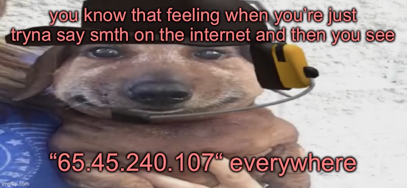 chucklenuts | you know that feeling when you’re just tryna say smth on the internet and then you see; “65.45.240.107“ everywhere | image tagged in chucklenuts | made w/ Imgflip meme maker