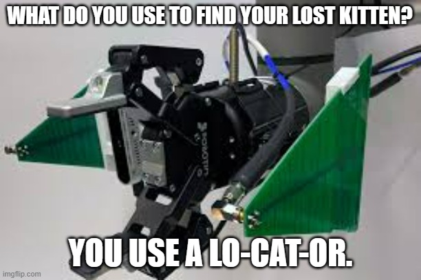 meme by Brad cat locator | WHAT DO YOU USE TO FIND YOUR LOST KITTEN? YOU USE A LO-CAT-OR. | image tagged in cat meme | made w/ Imgflip meme maker