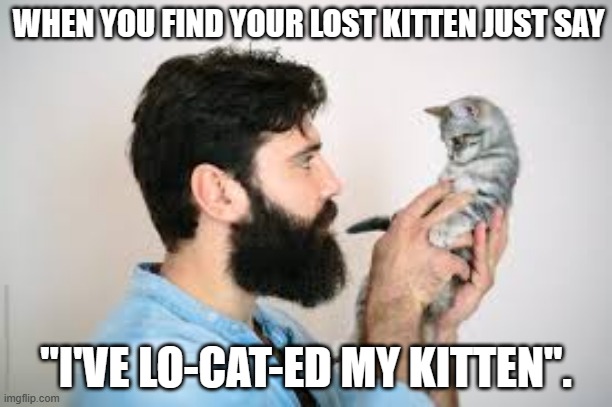 meme by Brad cat locator to find kitten | WHEN YOU FIND YOUR LOST KITTEN JUST SAY; "I'VE LO-CAT-ED MY KITTEN". | image tagged in cat meme | made w/ Imgflip meme maker