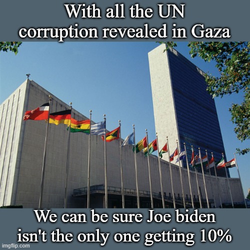 Forget that Harvard degree, today the best way to get rich is to be a corrupt world leader | With all the UN corruption revealed in Gaza; We can be sure Joe biden isn't the only one getting 10% | image tagged in united nations flags | made w/ Imgflip meme maker