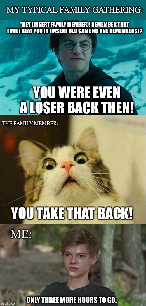 Just in time for the Holidays | MY TYPICAL FAMILY GATHERING:; “HEY (INSERT FAMILY MEMBER)! REMEMBER THAT TIME I BEAT YOU IN (INSERT OLD GAME NO ONE REMEMBERS)? YOU WERE EVEN A LOSER BACK THEN! THE FAMILY MEMBER:; YOU TAKE THAT BACK! ME:; ONLY THREE MORE HOURS TO GO. | image tagged in harry potter,memes,scared cat,maze runner newt confused | made w/ Imgflip meme maker