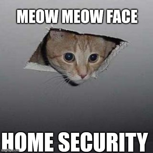 Ceiling cat | MEOW MEOW FACE; HOME SECURITY | image tagged in memes,ceiling cat,cat,security,cats | made w/ Imgflip meme maker