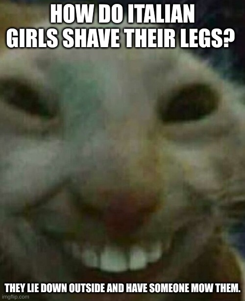 Cat smiling | HOW DO ITALIAN GIRLS SHAVE THEIR LEGS? THEY LIE DOWN OUTSIDE AND HAVE SOMEONE MOW THEM. | image tagged in cat smiling | made w/ Imgflip meme maker