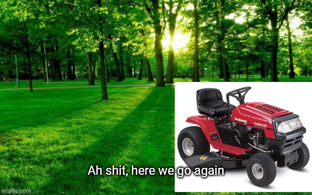 Grass and trees | Ah shit, here we go again | image tagged in grass and trees | made w/ Imgflip meme maker