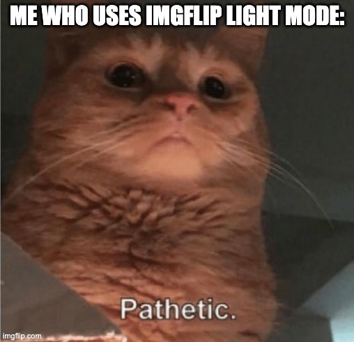 ME WHO USES IMGFLIP LIGHT MODE: | image tagged in pathetic cat | made w/ Imgflip meme maker